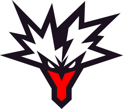 Team Yandex