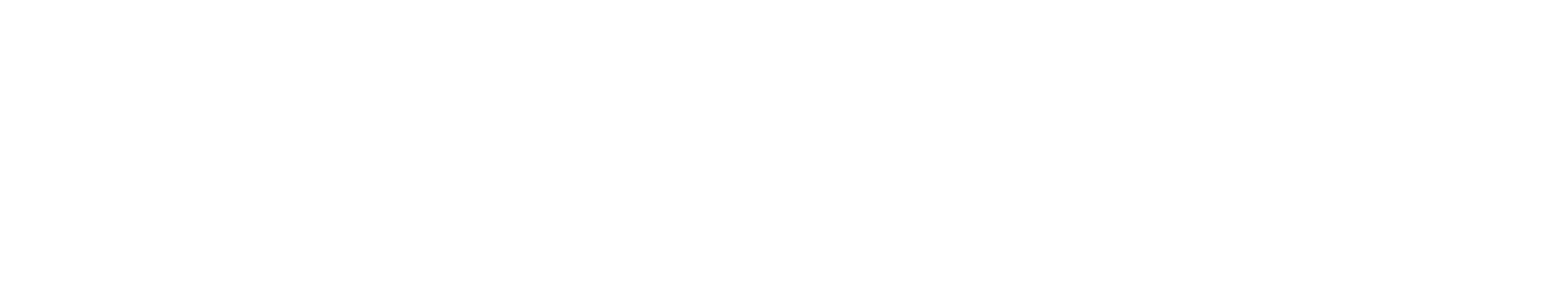 Nameless Esports horizontal lockup